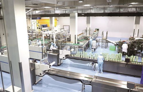 創建蘭州牛肉面 超級工廠 百城萬店